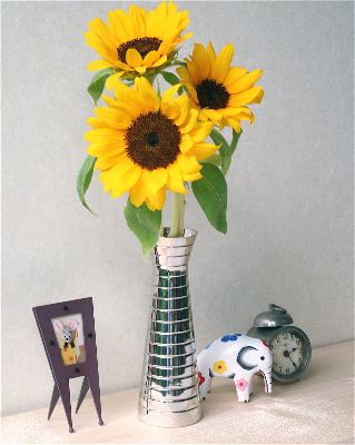 サークルズひまわり400