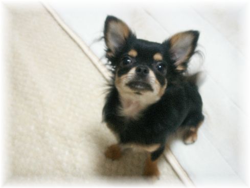PICT0580.jpg