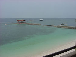 2006-3-22帰国分-145.jpg