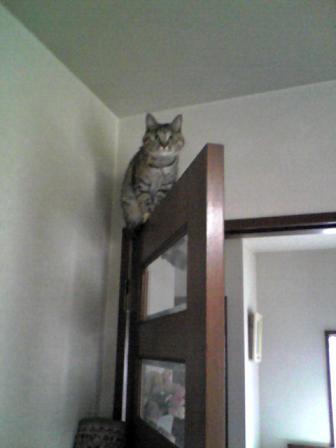 コピー ～ Image334.jpg