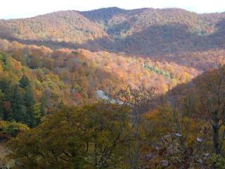 奥利根の山