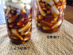 ラッキョウ漬け