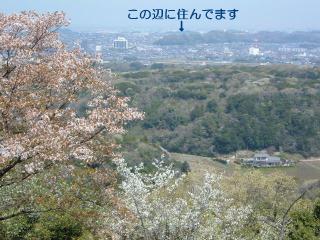 頂上から家を眺める