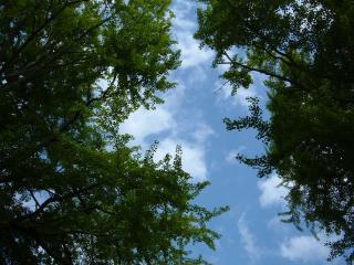 空