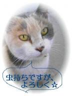 モコ0601