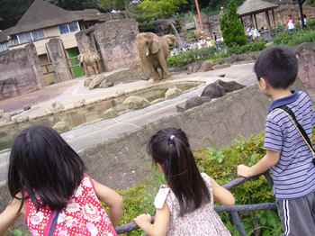 多摩動物園.jpg