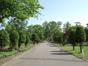 2009_0620bado0019.JPG