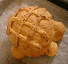 キャロットパン亀ちゃん♪