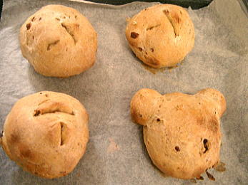 坊ちゃんかぼちゃレーズンパン