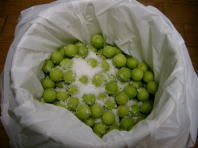 梅干し仕込み中