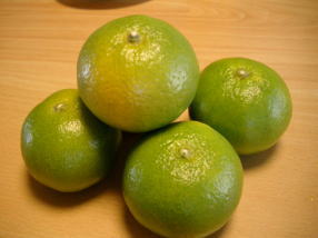 もぎたてみかん