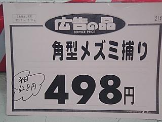 角型メズミ捕り