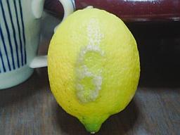 変わりレモン1