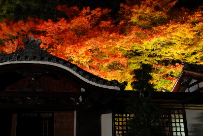 紅葉 005.jpg