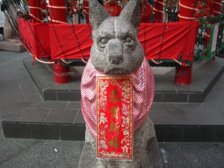 中華街　犬