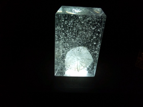 2011-09-11_17.58.12.jpg