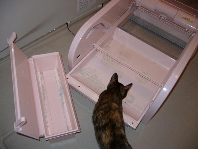 ばらすとこんな感じです。