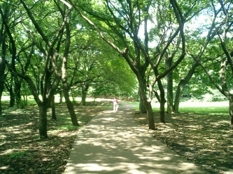 砧公園ロード.JPG