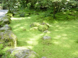 箱根神社１.JPG