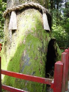 箱根神社６.JPG