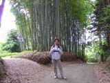 見事な竹林です