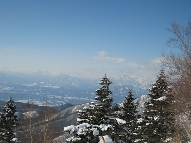 IMG_3421.JPG