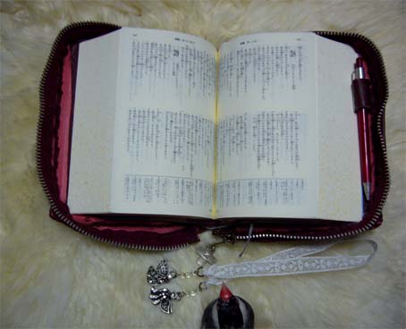 聖書とちょび