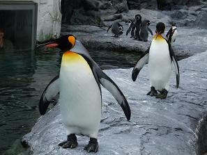 hokkaidoufuji 025sawee.JPG