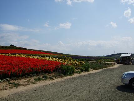 hokkaidoufuji 0281we.JPG