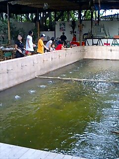 PA0_0007.JPG