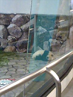 PA0_0022.JPG