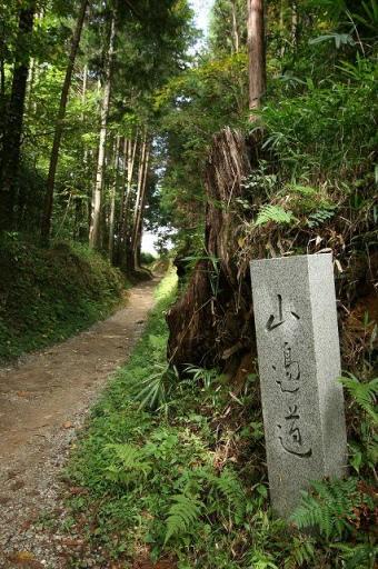 山の辺の道