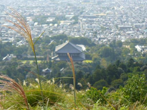 東大寺