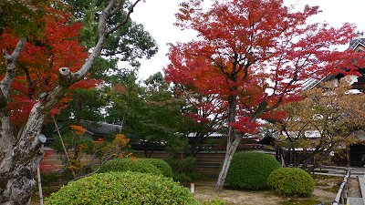 toudaiji03.jpg