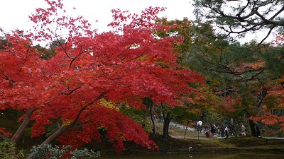 toudaiji05.jpg