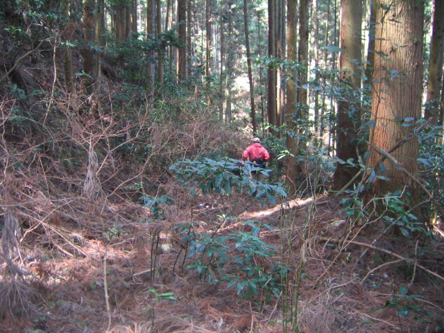 高野古道