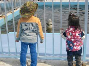 おかしなごまちゃん