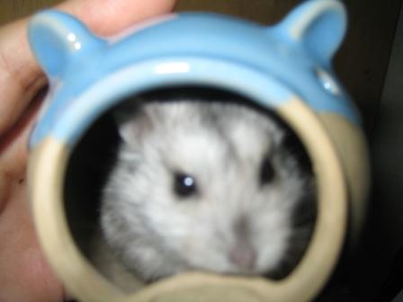 似合いましゅか？