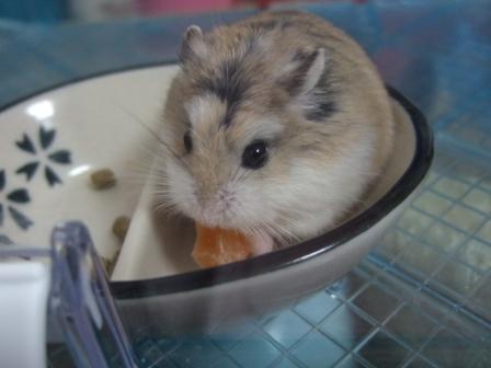 美味しいでしゅね