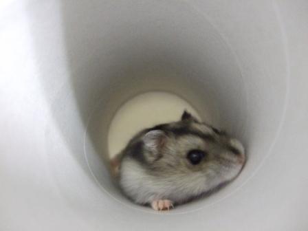 がんばっているけど…