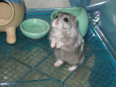 まだでしゅか？