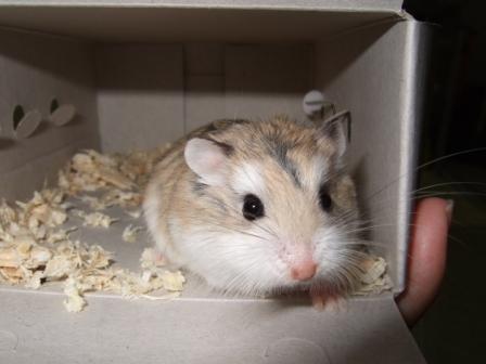 ムーちゃん