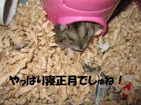 寝る