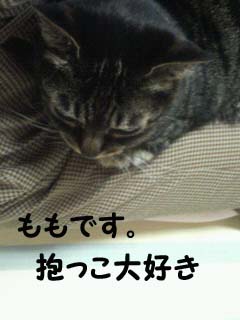 もも抱っこ.jpg
