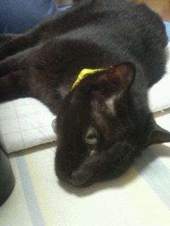 P1000090.JPG