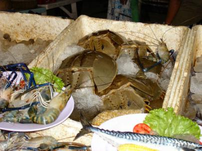 食用カブトガニ アジアを旅しよう ２号館 From ミャンマー 楽天ブログ