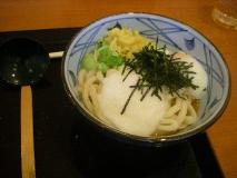 IMGP4887.jpg