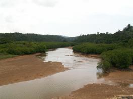 PICT0466.jpg