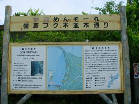 IMGP6542.jpg
