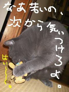 次からは
